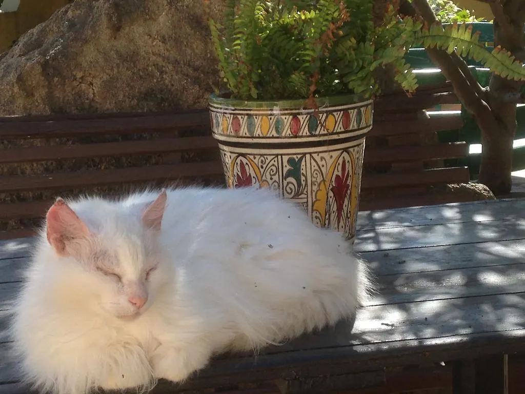 Ca' La Somara Hotel San Pantaleo